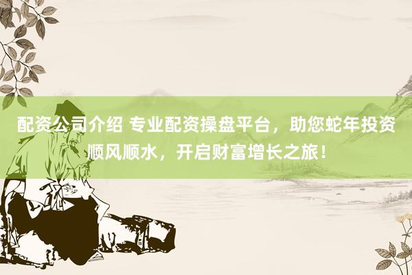 配资公司介绍 专业配资操盘平台，助您蛇年投资顺风顺水，开启财富增长之旅！