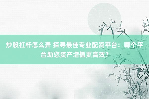 炒股杠杆怎么弄 探寻最佳专业配资平台：哪个平台助您资产增值更高效？