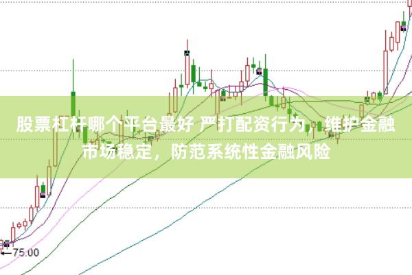 股票杠杆哪个平台最好 严打配资行为，维护金融市场稳定，防范系统性金融风险