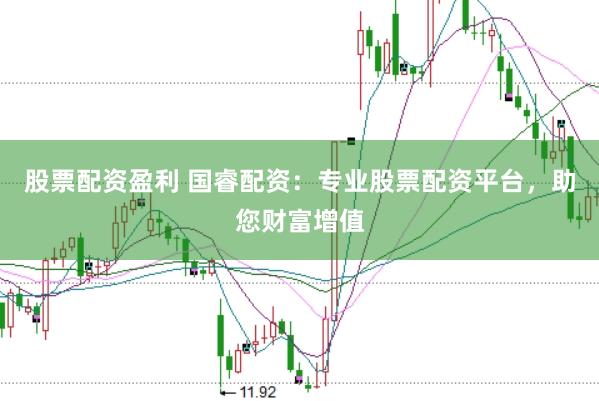 股票配资盈利 国睿配资：专业股票配资平台，助您财富增值