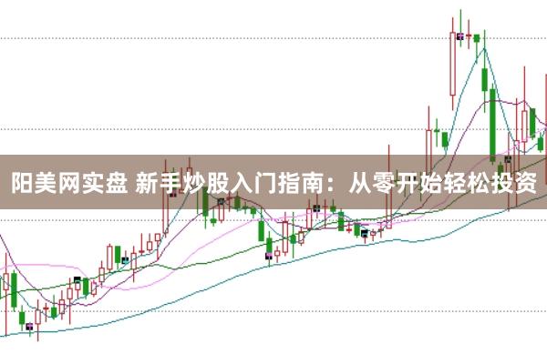 阳美网实盘 新手炒股入门指南：从零开始轻松投资