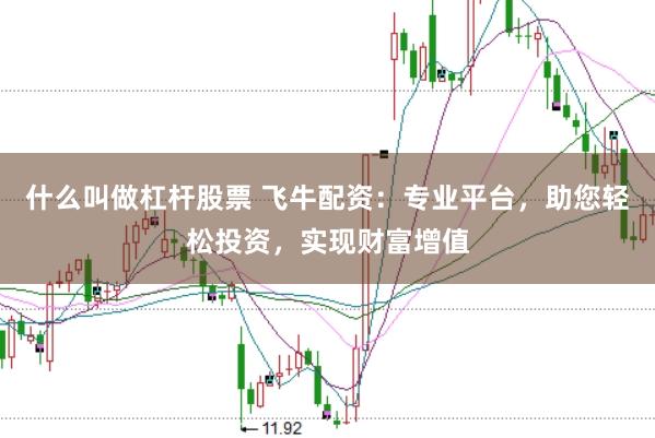 什么叫做杠杆股票 飞牛配资：专业平台，助您轻松投资，实现财富增值