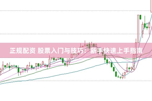 正规配资 股票入门与技巧：新手快速上手指南