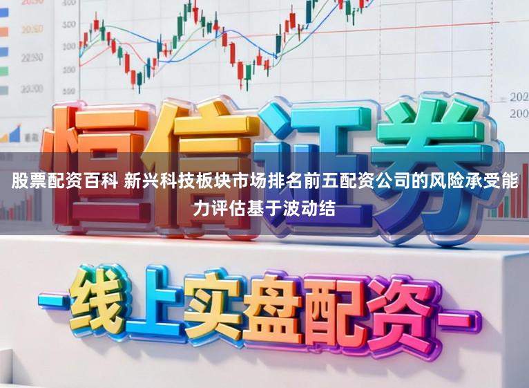 股票配资百科 新兴科技板块市场排名前五配资公司的风险承受能力评估基于波动结