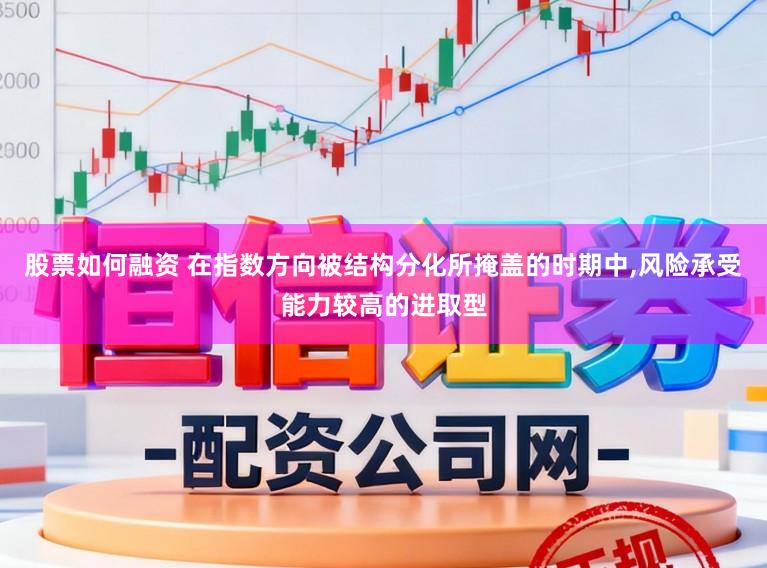 股票如何融资 在指数方向被结构分化所掩盖的时期中,风险承受能力较高的进取型