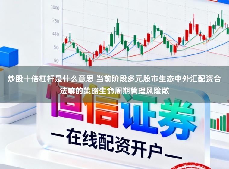 炒股十倍杠杆是什么意思 当前阶段多元股市生态中外汇配资合法嘛的策略生命周期管理风险敞