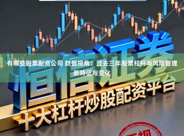 有哪些股票配资公司 数据视角：过去三年股票杠杆与风险管理新特征与变化